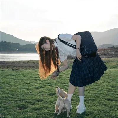 猫儿协奏曲