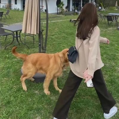 爱神巧克力第二季