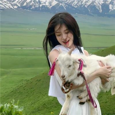 萌鸡小队:萌闯新世界